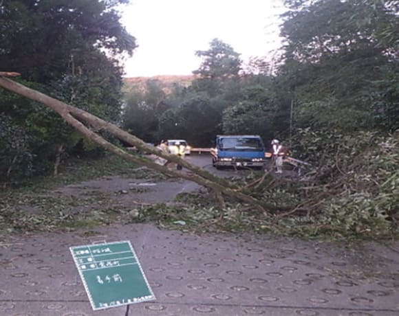 浜松市内（H30：台風24号による倒木処理）